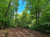 Foto - Niederauerbach bei Zweibrücken, 990 qm Wald am Bachufer
