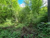Foto - Grundstück zur Miete in Zweibrücken
