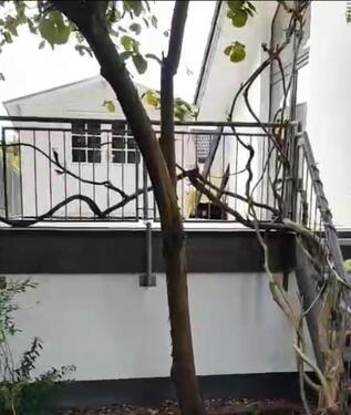Foto - 10 Zimmer Einfamilienhaus in Detmold