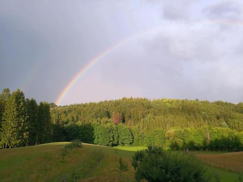 Foto - Einfamilienhaus zum Kaufen in Alfdorf