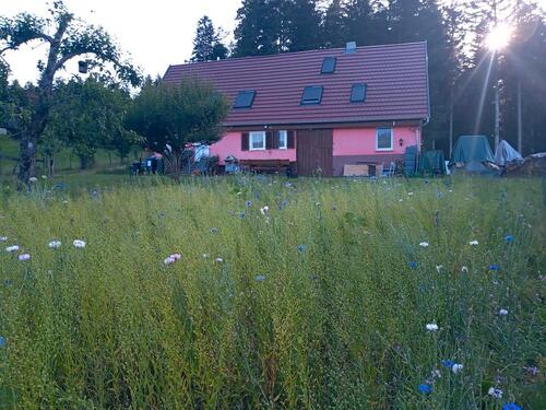Foto - Einfamilienhaus in Alfdorf zum Kaufen
