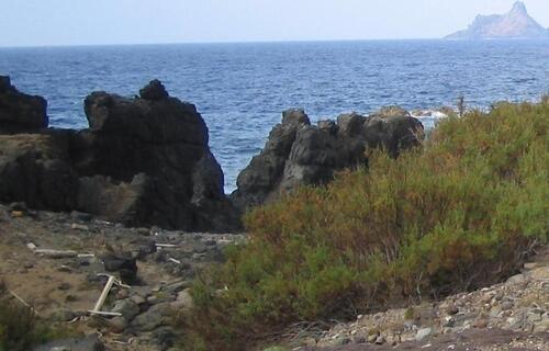 Foto - Grundstück in Wellheim