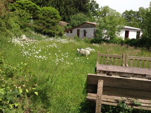 Foto - VON PRIVAT: EFH Haus Einzigartiges Naturparadies für Genießer