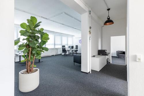 Foto - Fix Desk im Co-Working Büro in Moabit – Heller Arbeitsplatz zur Untermiete