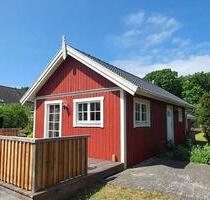 Ferienhaus Ostsee Darß Darss Born MV Nationalpark - Grabowhöfe