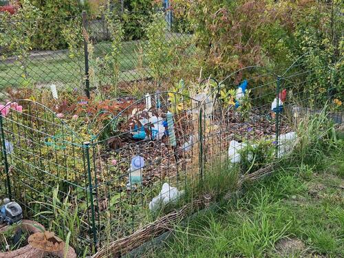 Foto - Grundstück zur Miete in Jacobsdorf
