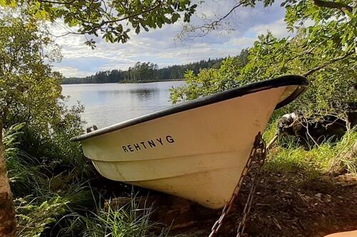 Foto - andere in Kirchlinteln zur Miete