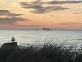 Foto - Last Minute Herbstferien frei TOP Meerblick Ferienwohnung Ostsee