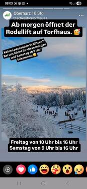 Foto - Weihnachten im Harz Allergikerfreundliches Ferienhaus 12Person