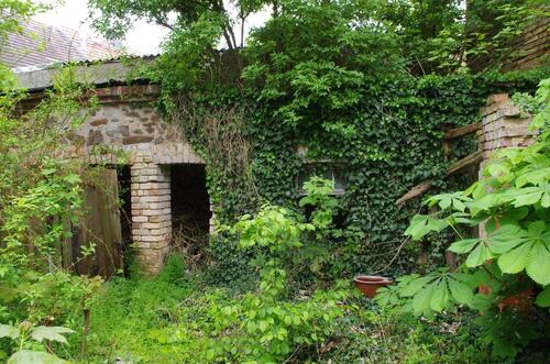 Foto - 5 Zimmer Einfamilienhaus in Dahlen