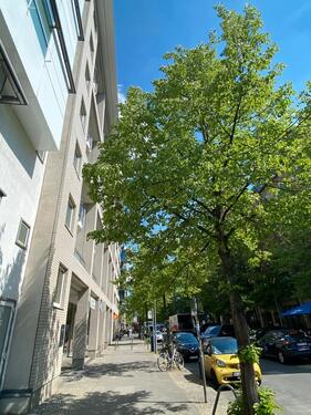 Foto - 2 Zimmer Erdgeschoßwohnung zur Miete in Berlin
