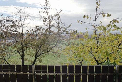 Foto - 3 Zimmer Dachgeschoßwohnung zur Miete in Fronhausen