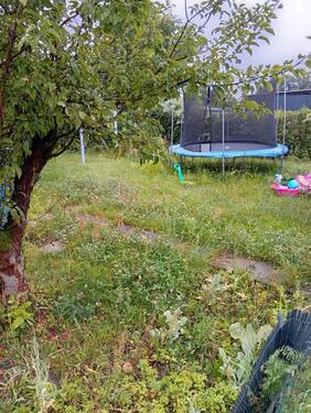 Foto - Grundstück in Cottbus zur Miete