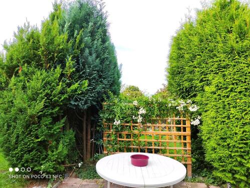 Foto - Grundstück zur Miete in Hameln