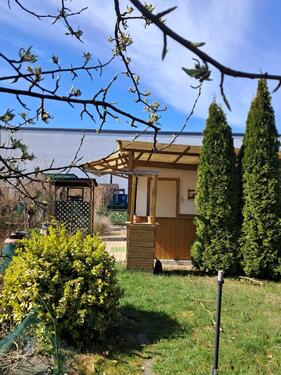 Foto - Kleingarten in Magdeburg zur Pacht im KGV Zur Aster