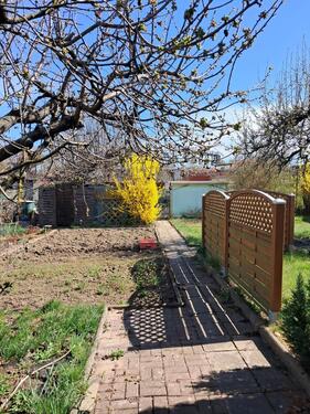 Foto - Grundst&uuml;ck zur Miete in Magdeburg