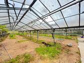 Foto - Gewächshaus mit ca. 500 m² in Großbottwar ***Teilflächen möglich***