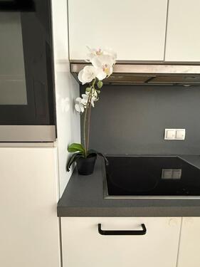 Foto - 3 Zimmer Erdgeschoßwohnung zum Kaufen in Berlin