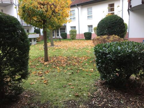 Foto - 2 Zimmer Erdgeschoßwohnung zur Miete in Köln