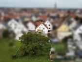 Foto - Einfamilienhaus zum Kaufen in Forst