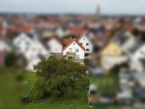 Foto - Einfamilienhaus zum Kaufen in Forst