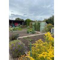 Toller Nutzgarten KGV Mörse - 2.800,00 EUR Kaltmiete, ca.  0,00 m² in Wolfsburg (PLZ: 38442) Ehmen