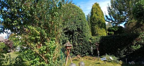 Foto - 2 Zimmer Erdgeschoßwohnung in Schrobenhausen