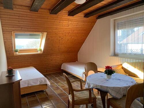 Foto - 1.5 Zi Dachgeschoss Wohnung im Grünen