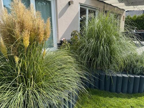 Foto - Stilvolles Wohnen in Bestlage - moderne Stadtvilla