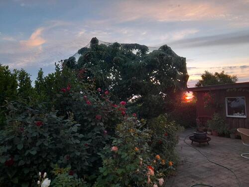 Foto - 5 Zimmer Einfamilienhaus in Neuenkirchen