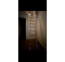 Schöne Erdgeschosswohnung mit Terrasse ab 01.04.2026 - Ludwigshafen am Rhein Ludwigshafen-Hemshof