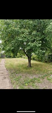 Foto - Grundstück in Luckenwalde zur Miete
