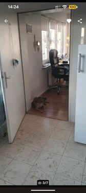 Foto - Hochparterre in Emmelshausen zur Miete