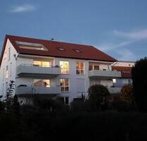 Ruhige 3-Zimmer Wohnung mit Balkon in Vaihingen Stadt - Vaihingen an der Enz