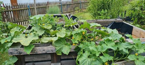 Foto - Grundst&uuml;ck in Altenburg