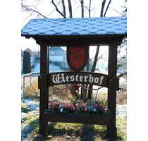 Doppelhaushälfte ca. 120qm mit Terrasse in Westerhof - Kalefeld