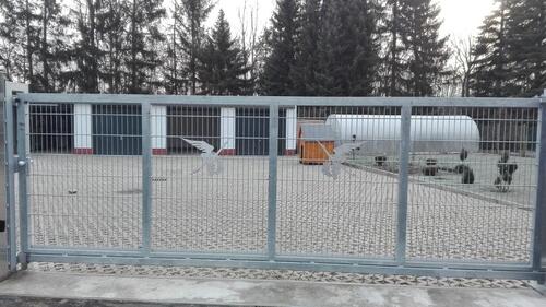 Foto - Einfamilienhaus in Hildesheim zum Kaufen