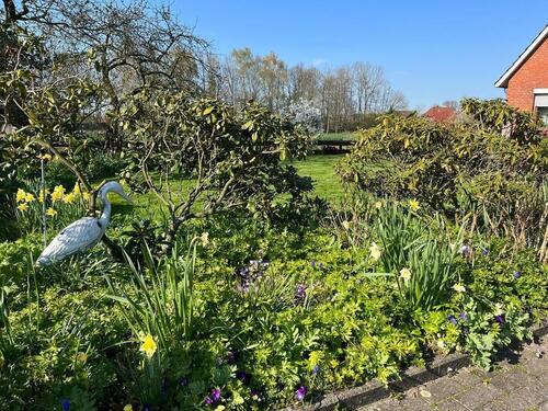 Foto - Einfamilienhaus zur Miete in Stade