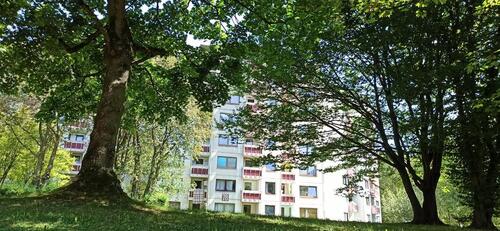 Foto - Etagenwohnung in Frankfurt am Main