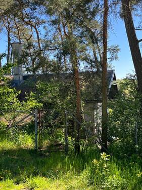 Foto - Einfamilienhaus zum Kaufen in Belgern-Schildau