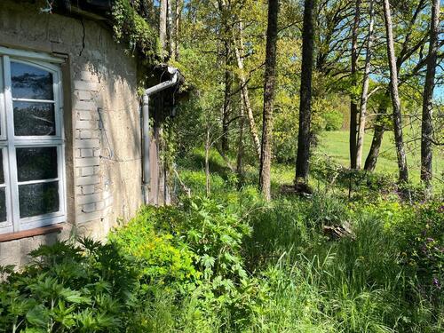 Foto - Einfamilienhaus in Belgern-Schildau zum Kaufen