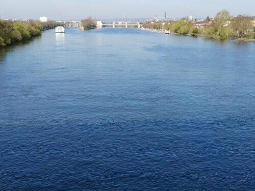 Foto - Ffm-Griesheim: rg. Hinterhaus mit Terrasse Keller, Fahrradstplatz
