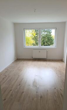 Foto - Neu renovierte Wohnung in ruhiger Lage