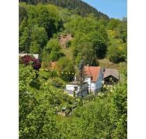 Einfamilienhaus mit Anbau im Landhausstil und viel Garten - Forbach