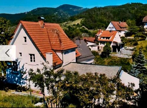 Foto - Einfamilienhaus zum Kaufen in Forbach