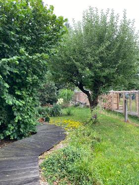 Foto - Grundstück in Oschatz