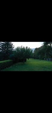 Foto - andere zur Miete in Aachen