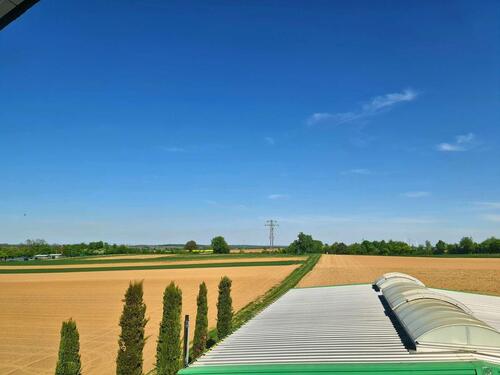 Foto - andere in Bad Bergzabern zur Miete
