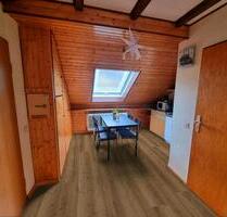 Möblierte 1.5 Zi. Wohnung in Hofsgrund zu vermieten - Oberried