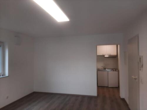 Foto - 1Zimmer-Appartment Trierweiler-Sirzenich